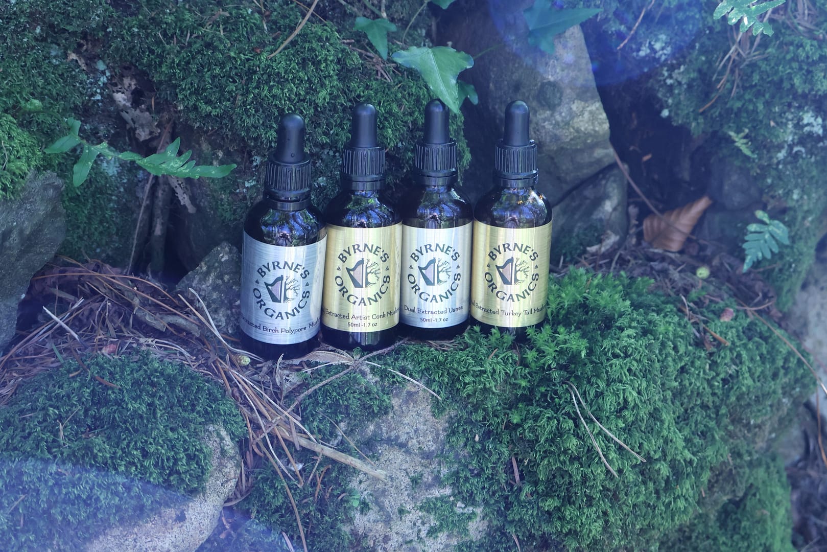 Mushroom Tinctures Mushroom Tinctures