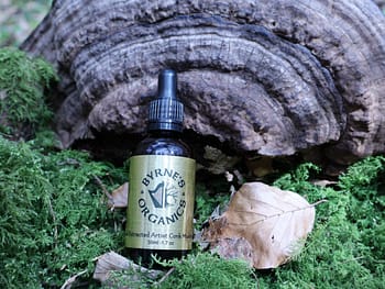 Artists Conk Tincture beside Artists Conk mushroom