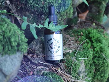 Old Mans Beard with leaf