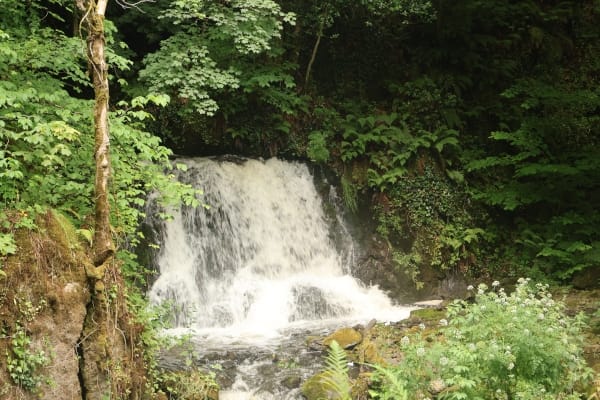 Wexford woods waterfall Wexford woods waterfall