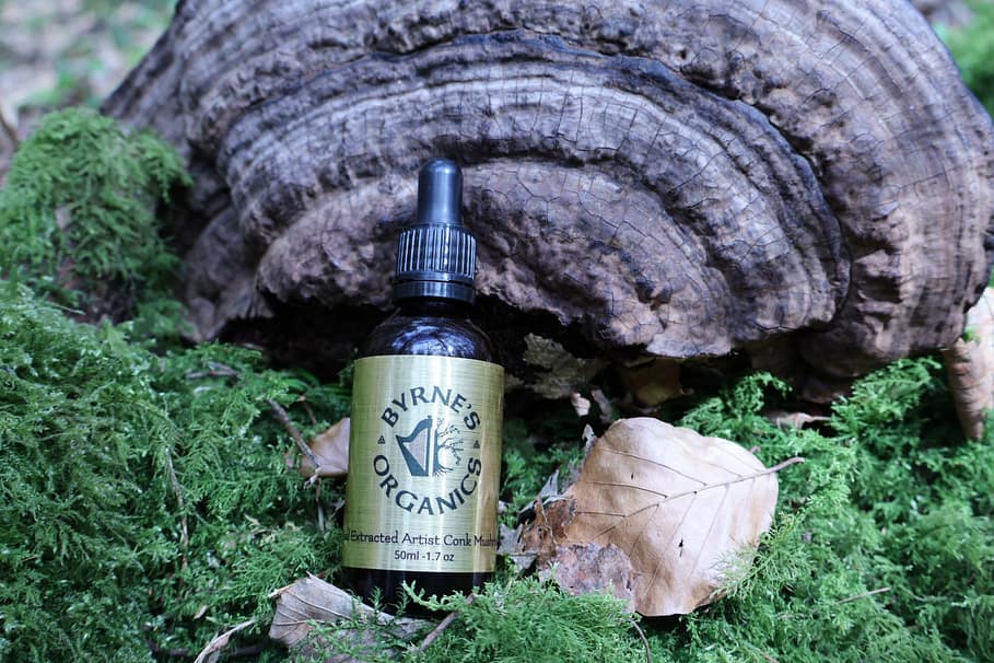 Artist's Conk Tincture 50ml